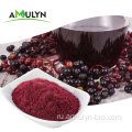 Черный порошок экстракта elderberry улучшает иммунитет